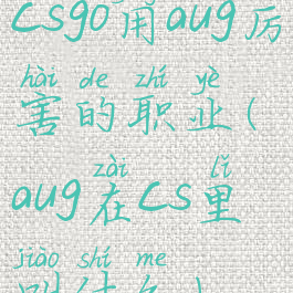 csgo用aug厉害的职业(aug在cs里叫什么)