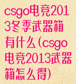 csgo电竞2013冬季武器箱有什么(csgo电竞2013武器箱怎么得)