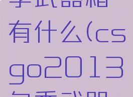 csgo电竞2013冬季武器箱有什么(csgo2013冬季武器箱物品大全)