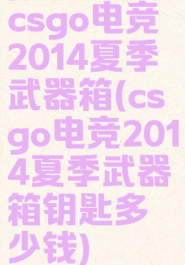 csgo电竞2014夏季武器箱(csgo电竞2014夏季武器箱钥匙多少钱)