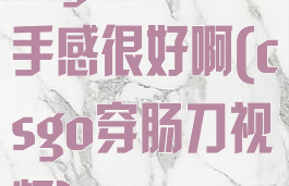 csgo穿肠刀手感很好啊(csgo穿肠刀视频)