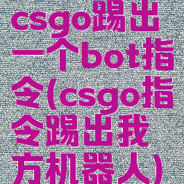 csgo踢出一个bot指令(csgo指令踢出我方机器人)