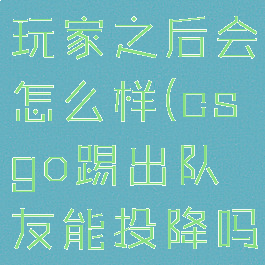 csgo踢出玩家之后会怎么样(csgo踢出队友能投降吗)