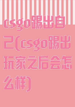 csgo踢出自己(csgo踢出玩家之后会怎么样)