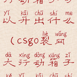 csgo裂网大行动箱子可以开出什么(csgo裂网大行动箱子可以开出什么东西)