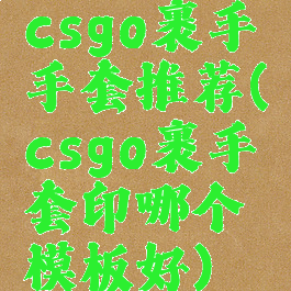 csgo裹手手套推荐(csgo裹手套印哪个模板好)