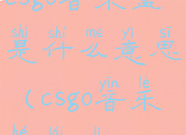 csgo音乐盒是什么意思(csgo音乐盒来历)