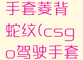 csgo驾驶手套菱背蛇纹(csgo驾驶手套吃磨损吗)