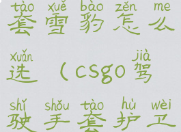 csgo驾驶手套雪豹怎么选(csgo驾驶手套护卫搭配)