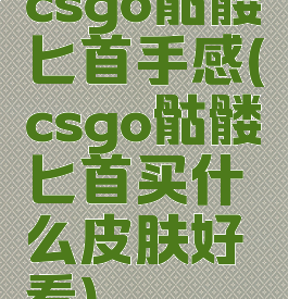 csgo骷髅匕首手感(csgo骷髅匕首买什么皮肤好看)