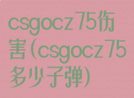 csgocz75伤害(csgocz75多少子弹)