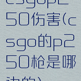 csgop250伤害(csgo的p250枪是哪边的)