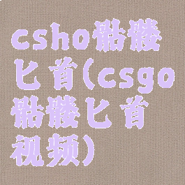 csho骷髅匕首(csgo骷髅匕首视频)
