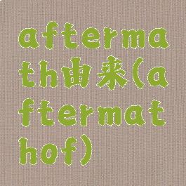 aftermath由来(aftermathof)