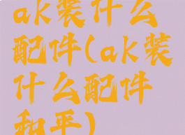 ak装什么配件(ak装什么配件和平)