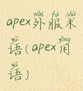 apex外服术语(apex用语)