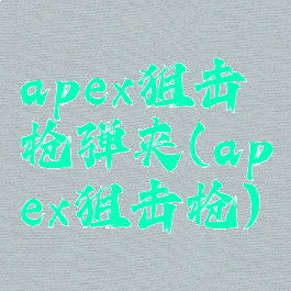 apex狙击枪弹夹(apex狙击枪)