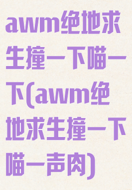 awm绝地求生撞一下喵一下(awm绝地求生撞一下喵一声肉)
