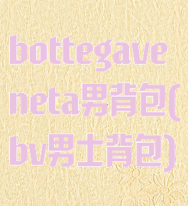 bottegaveneta男背包(bv男士背包)