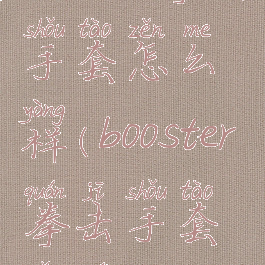 bonsem拳击手套怎么样(booster拳击手套品牌)