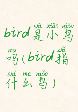 bird是小鸟吗(bird指什么鸟)