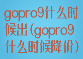 gopro9什么时候出(gopro9什么时候降价)