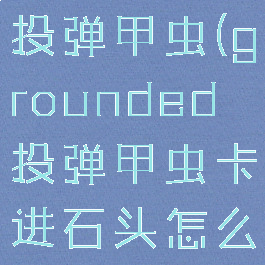 grounded投弹甲虫(grounded投弹甲虫卡进石头怎么办)
