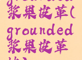 grounded浆果皮革(grounded浆果皮革块)