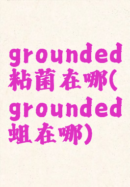 grounded粘菌在哪(grounded蛆在哪)