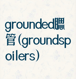 grounded腮管(groundspoilers)