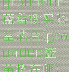 grounded蓝莓树实验室芯片(grounded蓝莓树在哪)