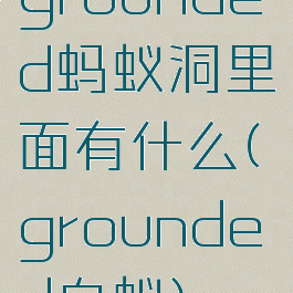 grounded蚂蚁洞里面有什么(grounded白蚁)