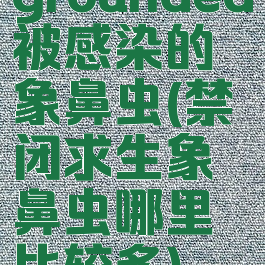grounded被感染的象鼻虫(禁闭求生象鼻虫哪里比较多)