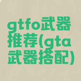 gtfo武器推荐(gta武器搭配)