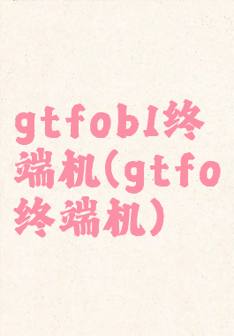gtfob1终端机(gtfo终端机)