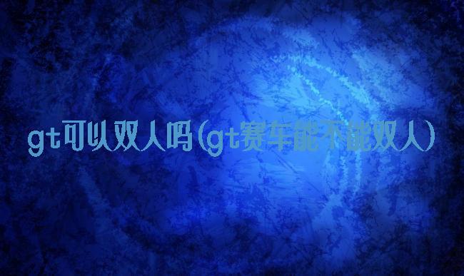 gt可以双人吗(gt赛车能不能双人)