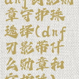 dnf剑影勋章守护珠选择(dnf刃影带什么勋章和守护珠)