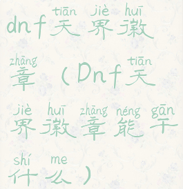 dnf天界徽章(Dnf天界徽章能干什么)