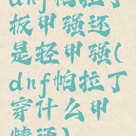 dnf帕拉丁板甲强还是轻甲强(dnf帕拉丁穿什么甲精通)