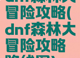 dnf森林大冒险攻略(dnf森林大冒险攻略路线图)
