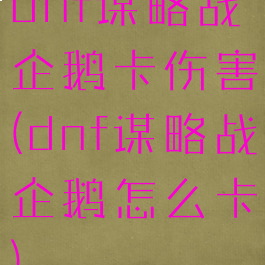 dnf谋略战企鹅卡伤害(dnf谋略战企鹅怎么卡)