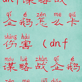 dnf谋略战企鹅怎么卡伤害(dnf谋略战企鹅怎么加点)