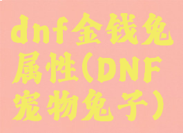 dnf金钱兔属性(DNF宠物兔子)
