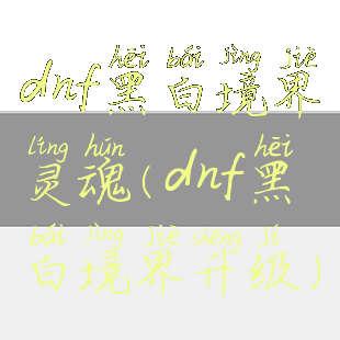 dnf黑白境界灵魂(dnf黑白境界升级)