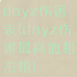 dayz伤害表(dayz伤害最高的狙击枪)