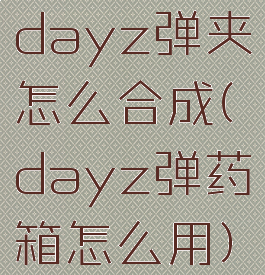 dayz弹夹怎么合成(dayz弹药箱怎么用)