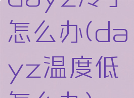 dayz冷了怎么办(dayz温度低怎么办)