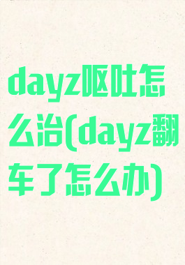dayz呕吐怎么治(dayz翻车了怎么办)