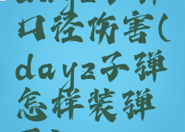 dayz子弹口径伤害(dayz子弹怎样装弹匣)