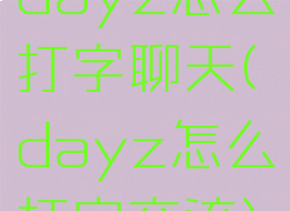 dayz怎么打字聊天(dayz怎么打字交流)